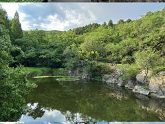 -国家植物园