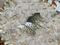 -官塘陈记鱼生·潮汕砂锅粥·牛肉火锅(潮枫路总店)