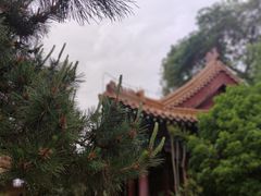 -戏马台景区