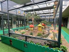 -佛冈森波拉度假区