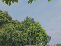 -火炉山森林公园