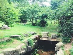 -桃花岭景区