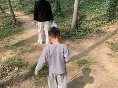-郑州植物园