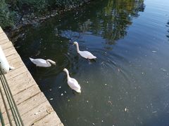 -长白岛森林公园