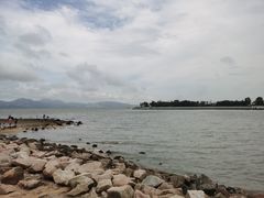-深圳湾公园(南山区)