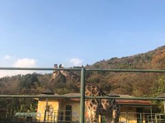 -无锡动物园·太湖欢乐园
