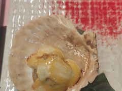 -黑松白鹿(金融街店)