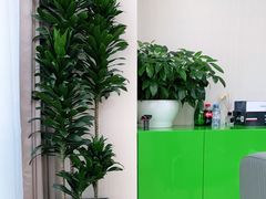 -北京同仁堂施小墨中医馆(建外SOHO店)