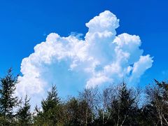 -白草畔自然风景区