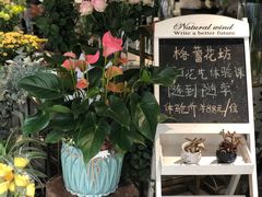 -格蕾花坊(民盈·国贸城店)