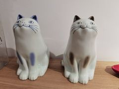 -猫里有甜