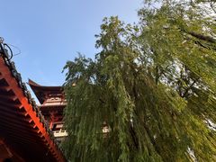 -杜甫江阁