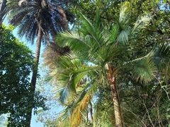 -南国桃园旅游度假区