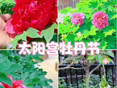 -太阳宫公园
