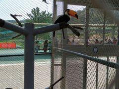 -西霞口神雕山野生动物世界