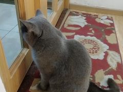 -壹人壹像工作室(购物公园店)