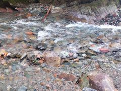 -西岭雪山大飞水景区