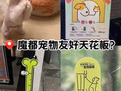 -瑞虹新天地月亮湾