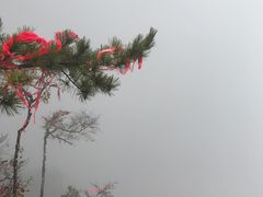 -塔云山