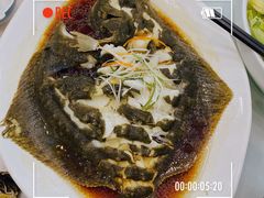 清蒸多宝鱼-普天和酒楼·新津菜·烤鸭(天津之眼店)