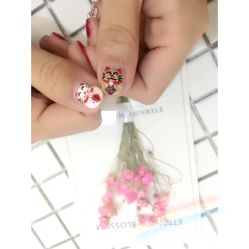 -莫奈花园日式美甲美睫