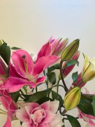 -FUMEIHUI·科技美肤·美体SPA