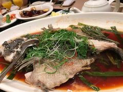 -新南华大酒店(广中店)