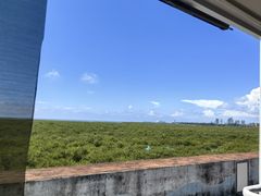 -北海金海湾红树林生态旅游区