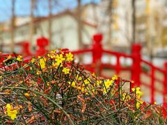 -玲珑塔公园
