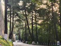 -紫金山山顶公园