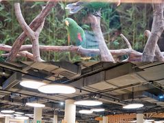 -麒麟中餐厅·经典粤菜·地道菜式老字号(广州长隆酒店)