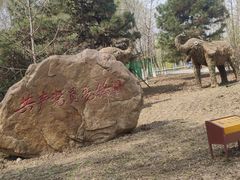 -长白岛森林公园