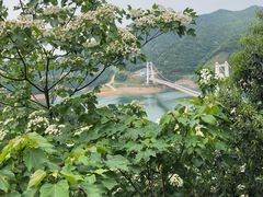 -酒仙湖景区