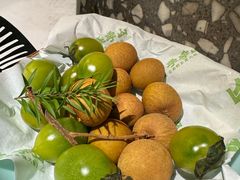 -季季山·云南野生菌火锅(上海首店)