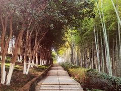 -上海市保健医疗中心