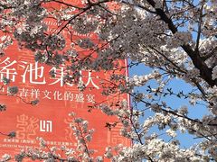 -龙美术馆(西岸馆)