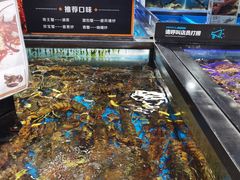 水产区-盒马鲜生(岭南新世界店)