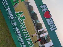 -昆山城市生态森林公园