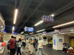 -世界之窗阿尔卑斯冰雪世界