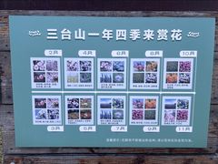 -江苏三台山国家森林公园