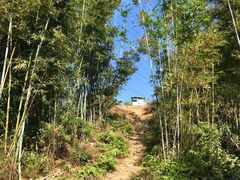 -广州市帽峰山景区