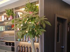 -鹿栖.精油SPA(金山世纪城店)