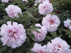 -太阳宫公园