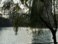 -东山湖公园