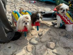 -楠溪江风景名胜区