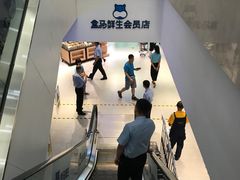 -盒马鲜生(大成店)