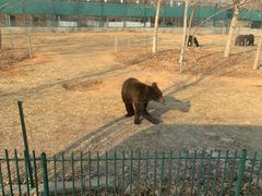 -秦皇岛野生动物园