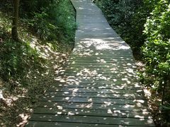 -上海佘山国家森林公园西佘山园