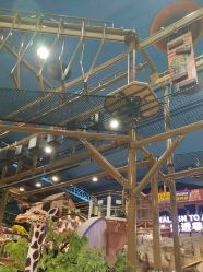 -卡通尼·Safari非洲探索乐园·生日会(金桥国际商业广场店)