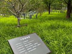 -元大都城垣遗址公园